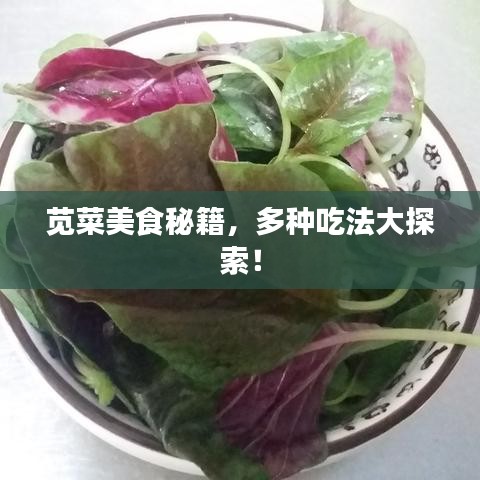 苋菜美食秘籍，多种吃法大探索！