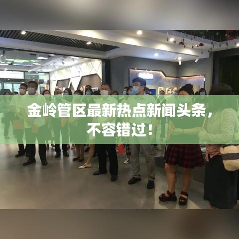 金岭管区最新热点新闻头条，不容错过！