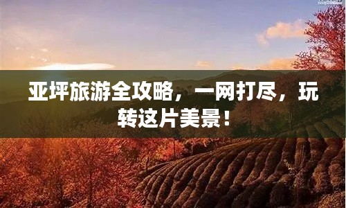 亚坪旅游全攻略，一网打尽，玩转这片美景！