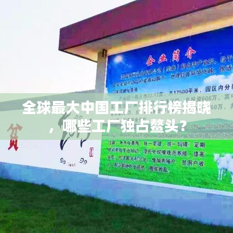 全球最大中国工厂排行榜揭晓，哪些工厂独占鳌头？