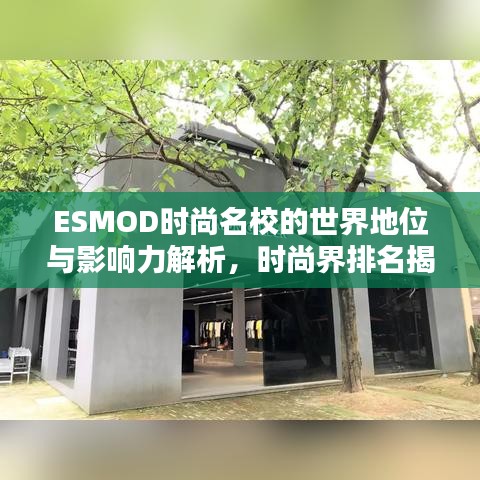 ESMOD时尚名校的世界地位与影响力解析，时尚界排名揭秘