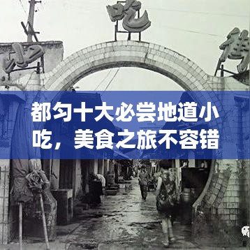 鸿飞雪爪