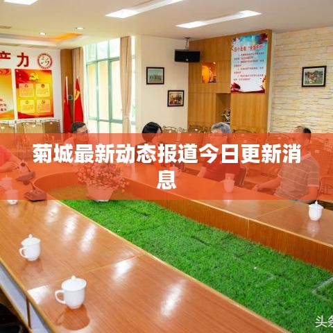 菊城最新动态报道今日更新消息