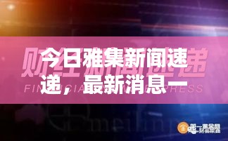 今日雅集新闻速递，最新消息一网打尽