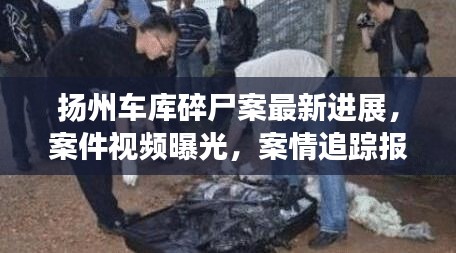 扬州车库碎尸案最新进展，案件视频曝光，案情追踪报道