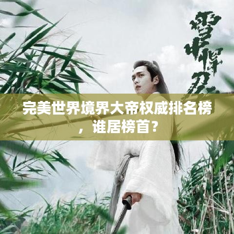 完美世界境界大帝权威排名榜，谁居榜首？