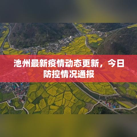 池州最新疫情动态更新，今日防控情况通报