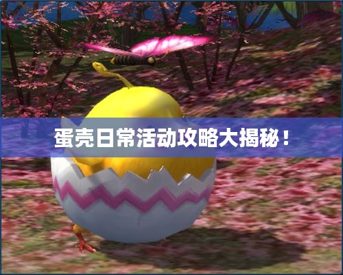 蛋壳日常活动攻略大揭秘！