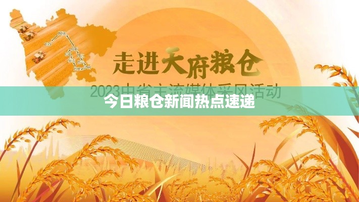今日粮仓新闻热点速递