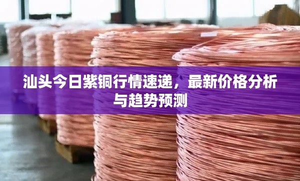 汕头今日紫铜行情速递，最新价格分析与趋势预测