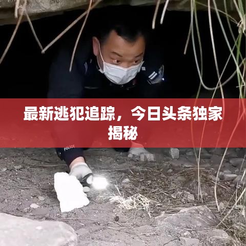 最新逃犯追踪，今日头条独家揭秘