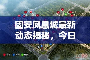 固安凤凰城最新动态揭秘，今日更新消息一览