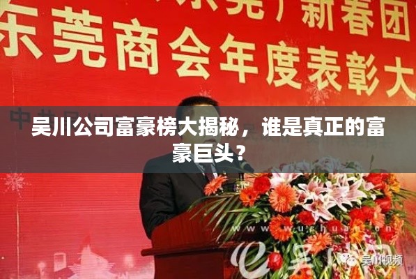 吴川公司富豪榜大揭秘，谁是真正的富豪巨头？