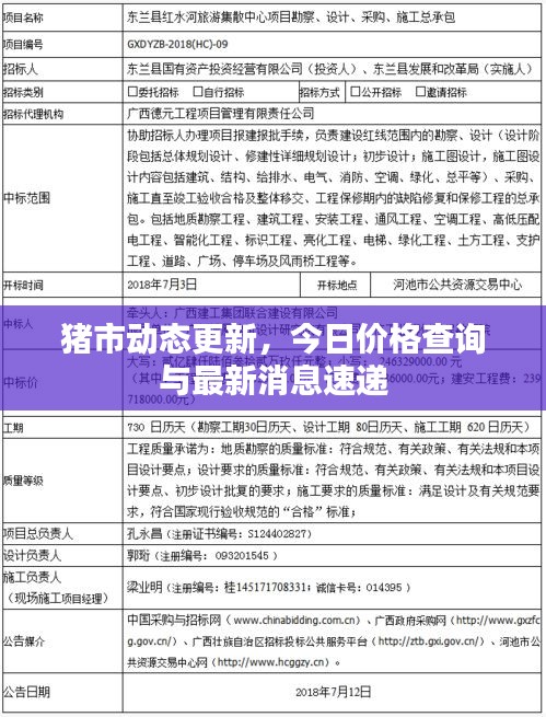 猪市动态更新，今日价格查询与最新消息速递