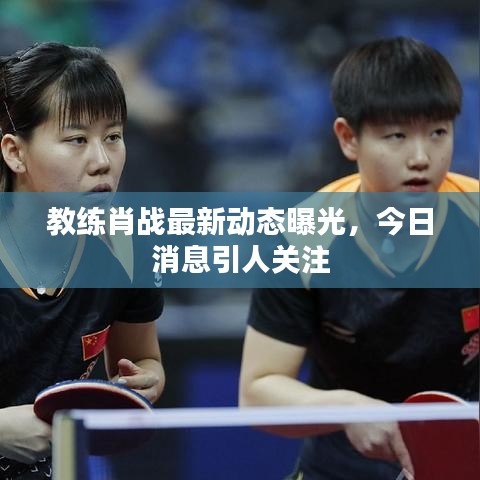 教练肖战最新动态曝光，今日消息引人关注