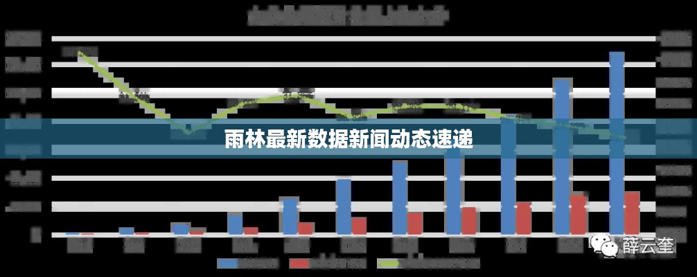 雨林最新数据新闻动态速递
