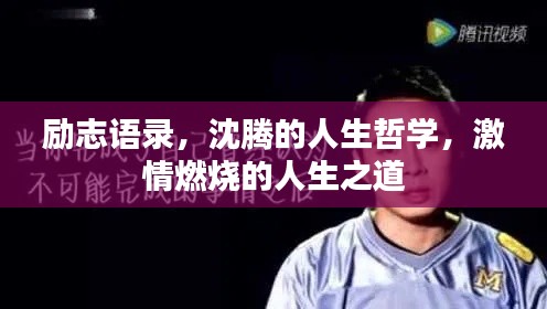 一石三鸟