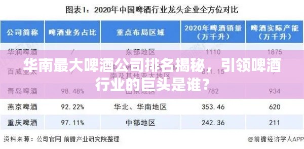 华南最大啤酒公司排名揭秘，引领啤酒行业的巨头是谁？