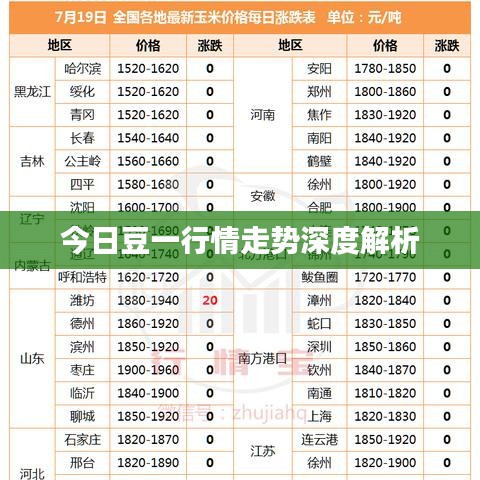今日豆一行情走势深度解析