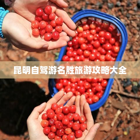 昆明自驾游名胜旅游攻略大全