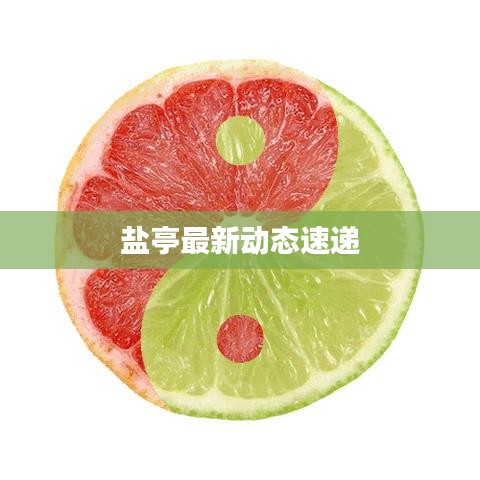 盐亭最新动态速递