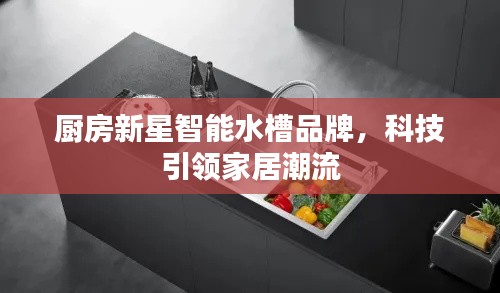 厨房新星智能水槽品牌，科技引领家居潮流