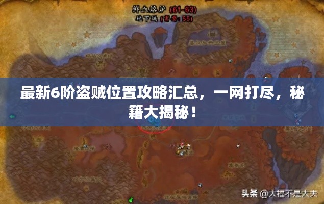 最新6阶盗贼位置攻略汇总，一网打尽，秘籍大揭秘！