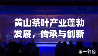 黄山茶叶产业蓬勃发展，传承与创新共融的新闻头条