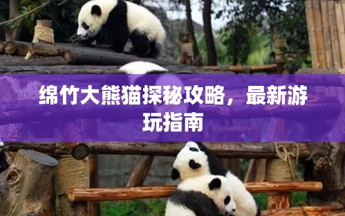 绵竹大熊猫探秘攻略，最新游玩指南