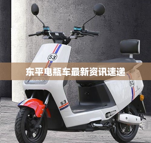 东平电瓶车最新资讯速递