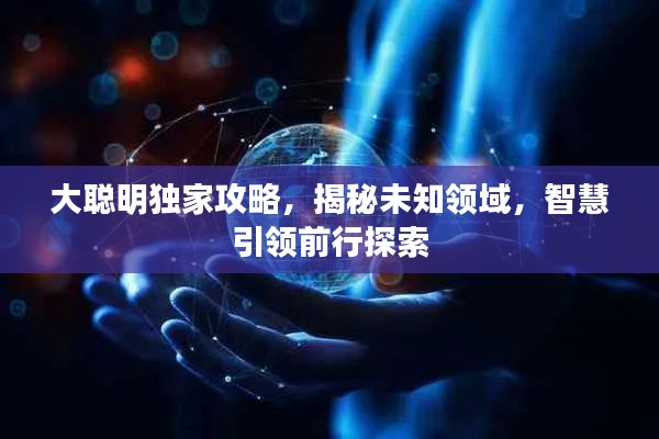 大聪明独家攻略，揭秘未知领域，智慧引领前行探索