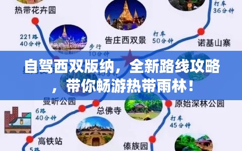 自驾西双版纳，全新路线攻略，带你畅游热带雨林！