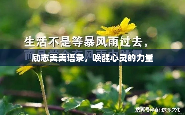 励志美美语录，唤醒心灵的力量