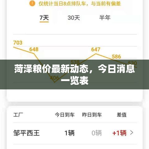 菏泽粮价最新动态，今日消息一览表