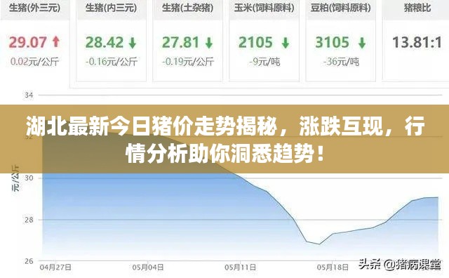 湖北最新今日猪价走势揭秘，涨跌互现，行情分析助你洞悉趋势！