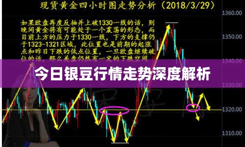 今日银豆行情走势深度解析