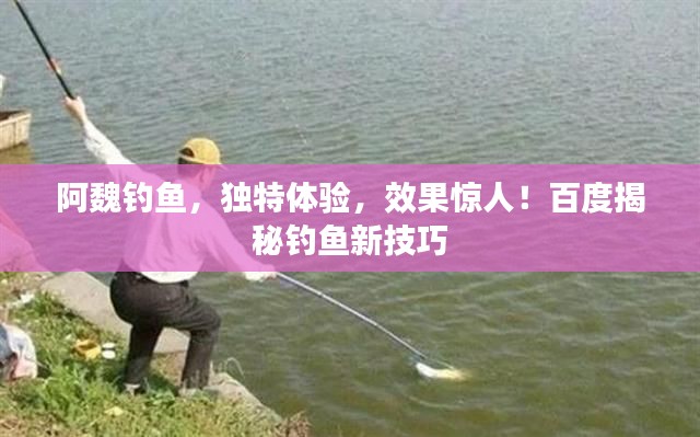 阿魏钓鱼，独特体验，效果惊人！百度揭秘钓鱼新技巧