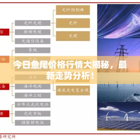 今日鱼尾价格行情大揭秘，最新走势分析！