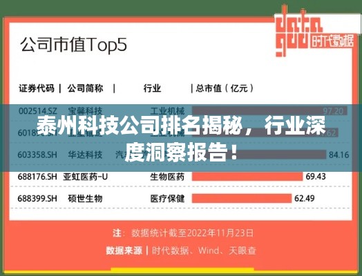 泰州科技公司排名揭秘，行业深度洞察报告！