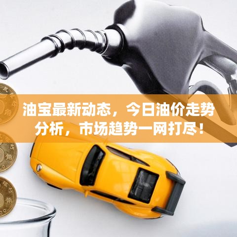 油宝最新动态，今日油价走势分析，市场趋势一网打尽！