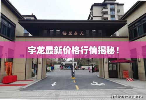 宇龙最新价格行情揭秘！