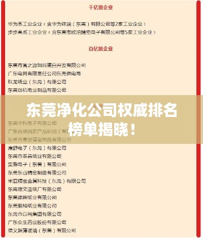 东莞净化公司权威排名榜单揭晓！