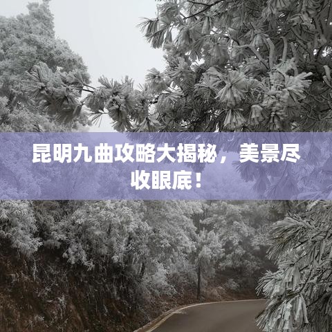 昆明九曲攻略大揭秘，美景尽收眼底！