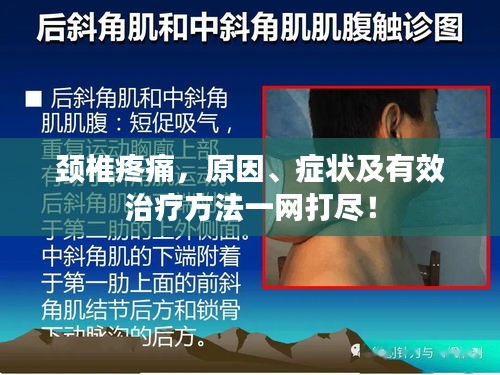 绝无仅有