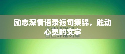 励志深情语录短句集锦，触动心灵的文字