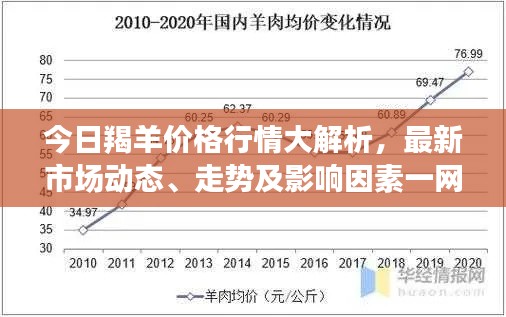 今日羯羊价格行情大解析，最新市场动态、走势及影响因素一网打尽