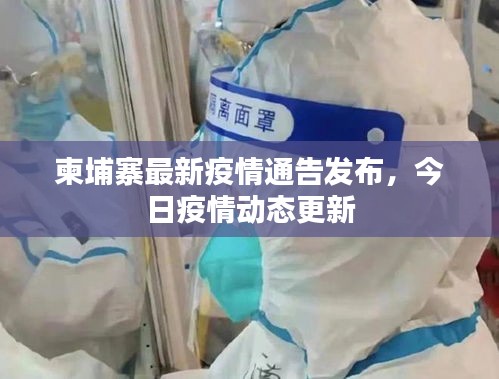 柬埔寨最新疫情通告发布，今日疫情动态更新
