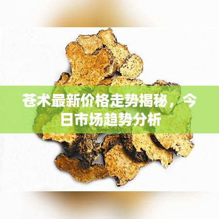 飞来飞去