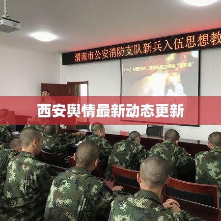 西安舆情最新动态更新
