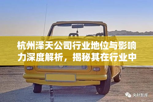 杭州泽天公司行业地位与影响力深度解析，揭秘其在行业中的排名